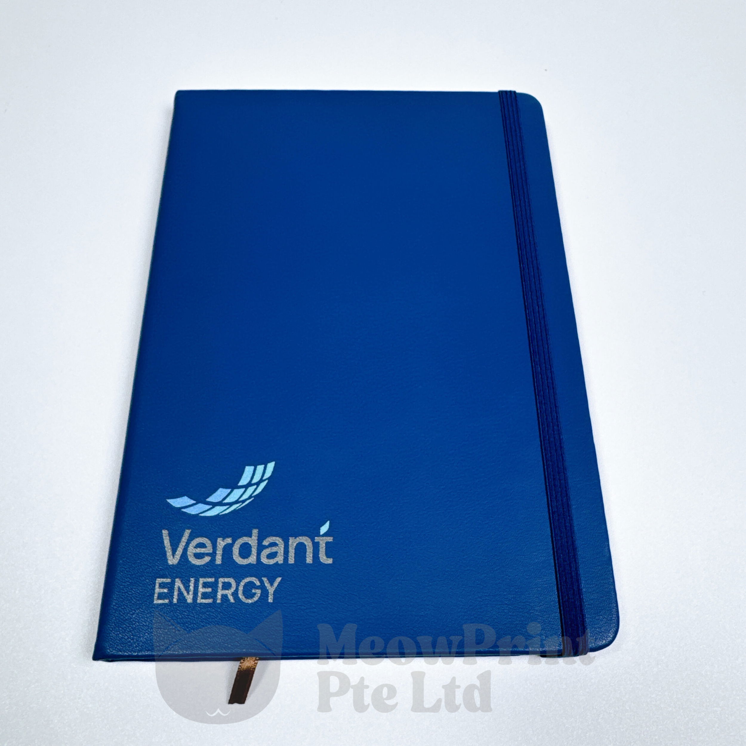 Verdant Energy (18 Feb 2025) (3)